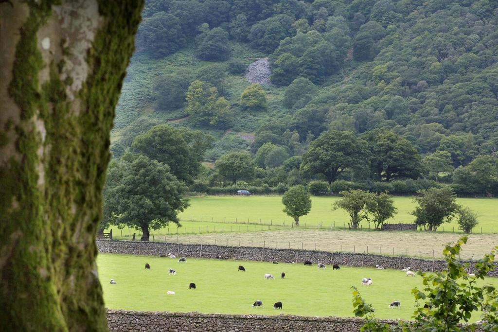 Hazel Bank Country House Borrowdale Valley Hotel Rosthwaite Exterior photo